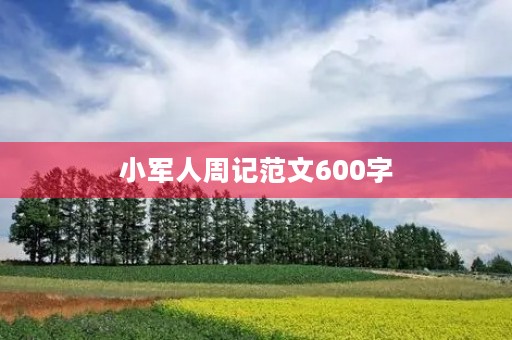 小军人周记范文600字