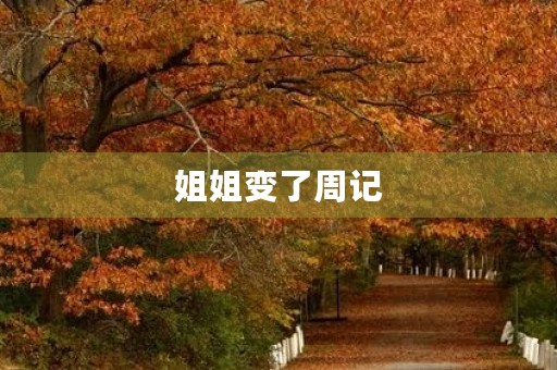 姐姐变了周记