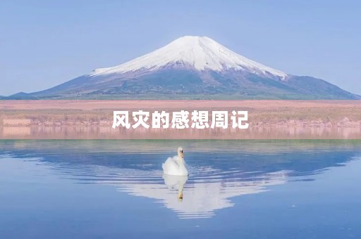 风灾的感想周记 风灾的感想周记