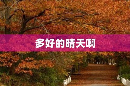 多好的晴天啊