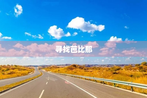 寻找芭比那
