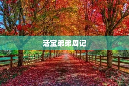 活宝弟弟周记