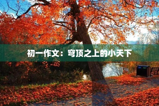 初一作文：穹顶之上的小天下