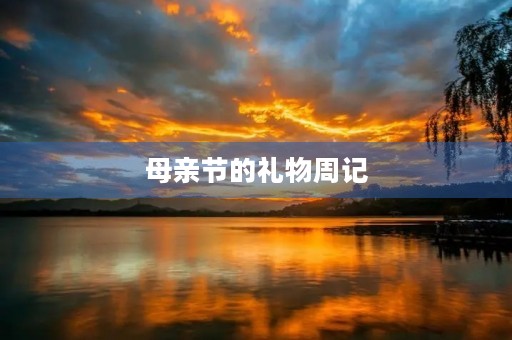 母亲节的礼物周记 母亲节的礼物周记