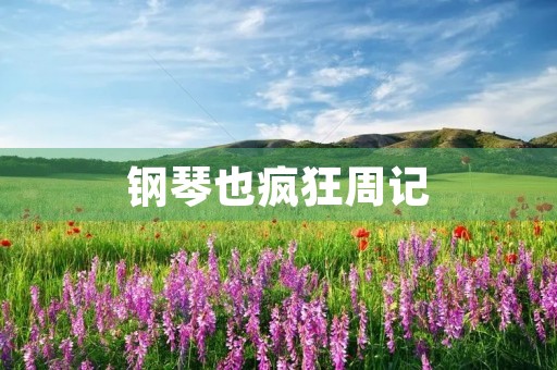 钢琴也疯狂周记 钢琴也疯狂周记