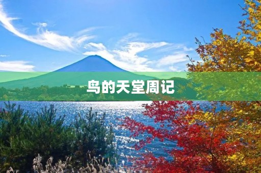 鸟的天堂周记