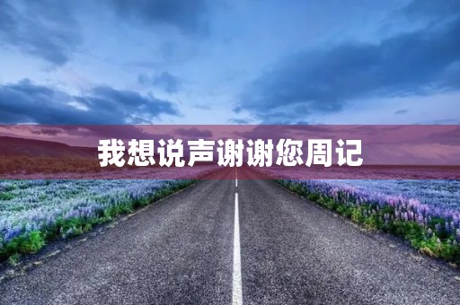 我想说声谢谢您周记 我想说声谢谢您周记