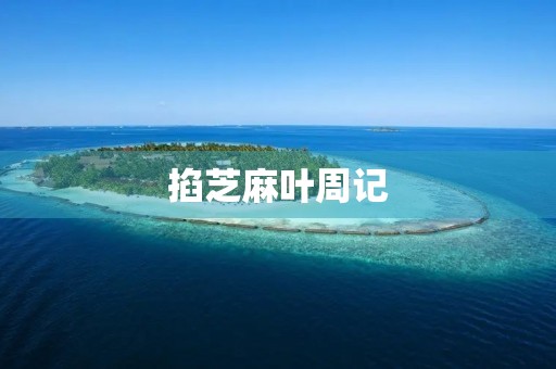掐芝麻叶周记 掐芝麻叶周记