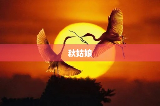秋姑娘