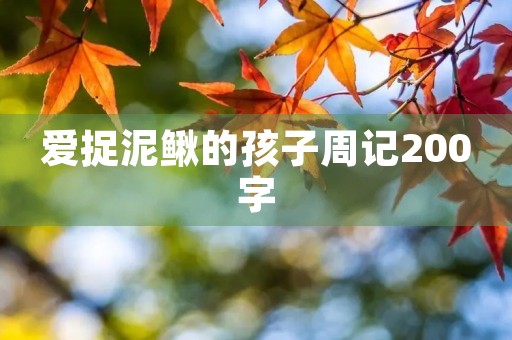 爱捉泥鳅的孩子周记200字