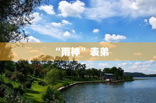 “雨神”表弟