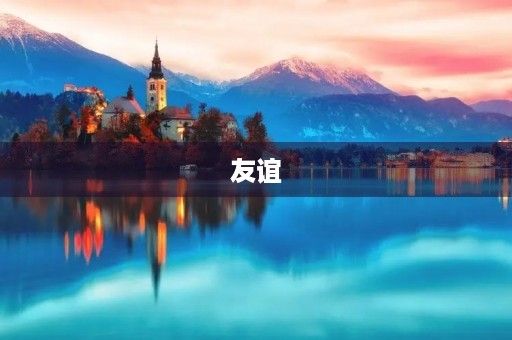 友谊