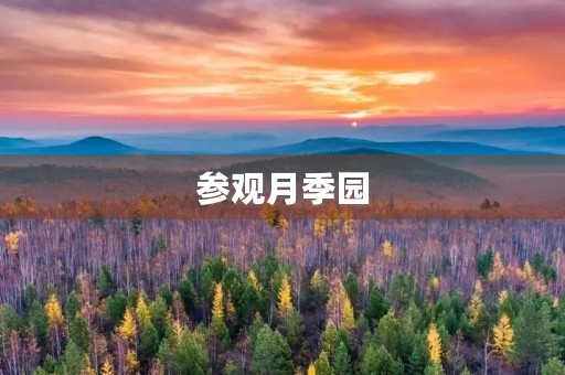 参观月季园
