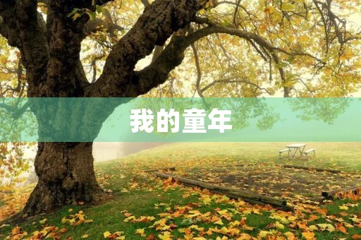 我的童年
