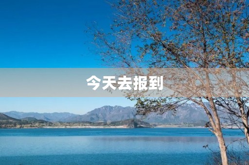 今天去报到