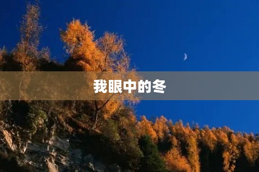我眼中的冬