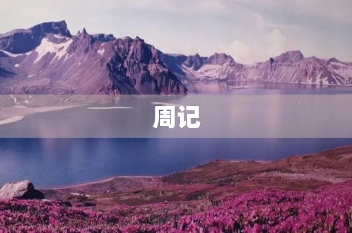 周记