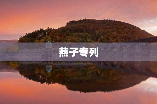 燕子专列