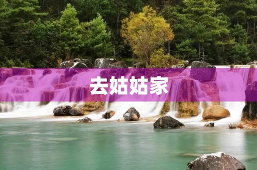 去姑姑家