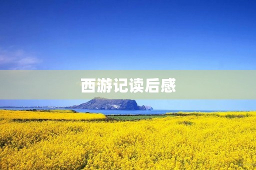 西游记读后感