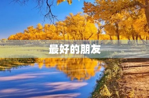 最好的朋友