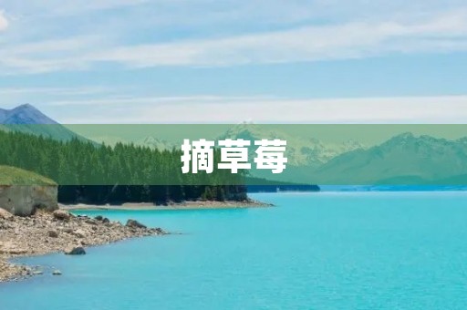 摘草莓