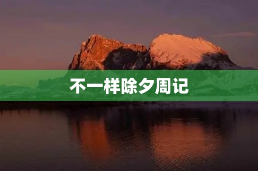不一样除夕周记