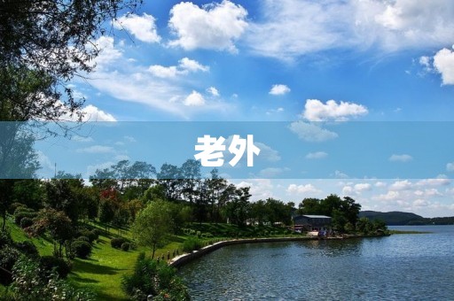 老外 老外