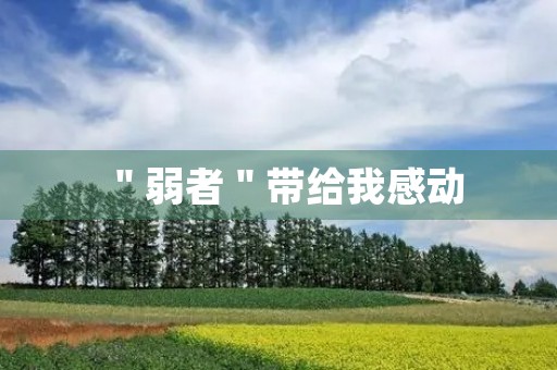 ＂弱者＂带给我感动
