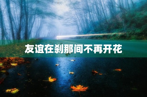 友谊在刹那间不再开花 友谊在刹那间不再开花