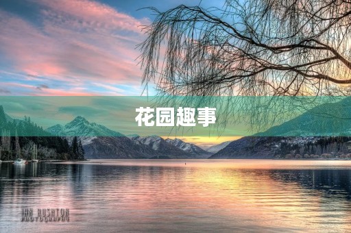 花园趣事