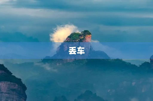丢车
