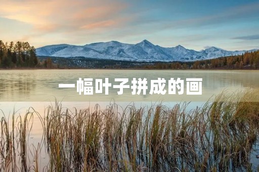 一幅叶子拼成的画