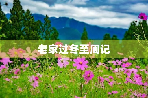 老家过冬至周记 老家过冬至周记
