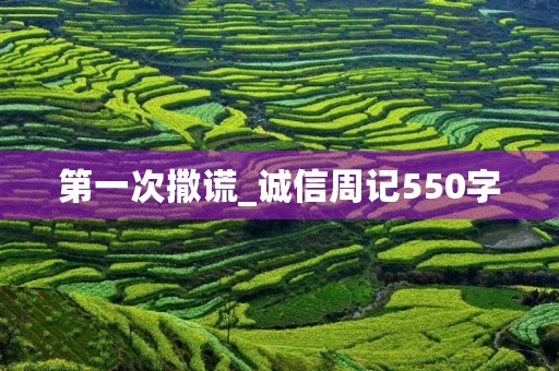 第一次撒谎_诚信周记550字