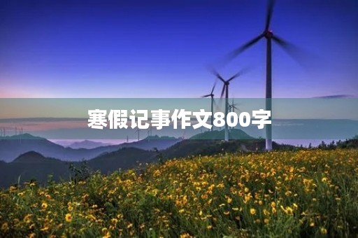 寒假记事作文800字 寒假记事作文800字