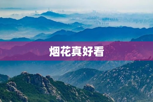 烟花真好看