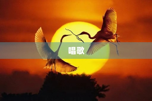 唱歌