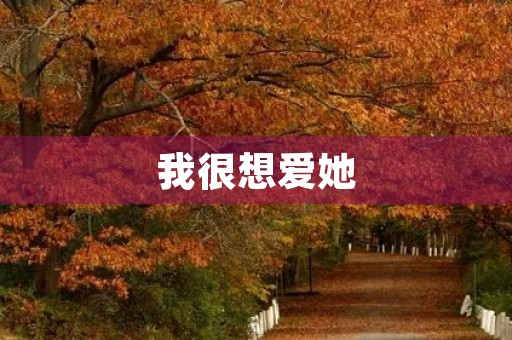 我很想爱她 我很想爱她