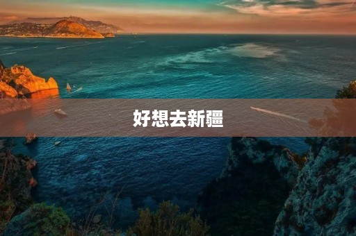 好想去新疆