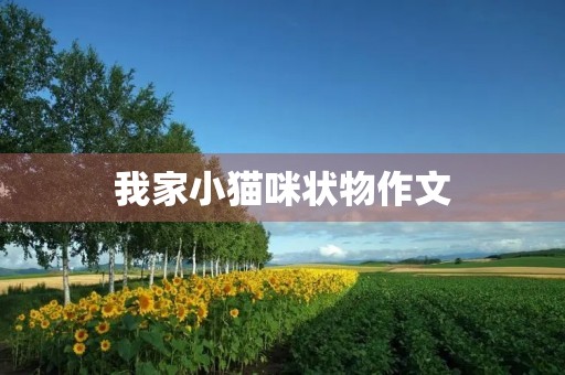 我家小猫咪状物作文 我家小猫咪状物作文