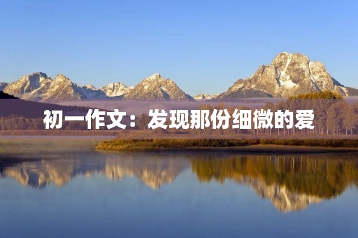 初一作文：发现那份细微的爱