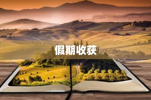 假期收获