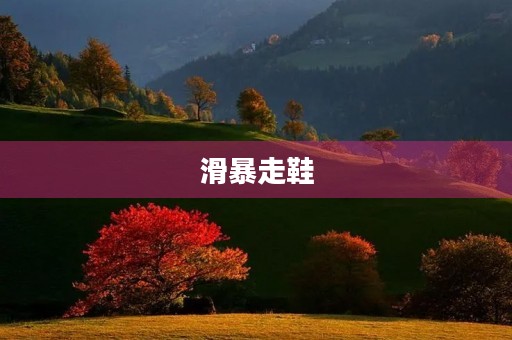 滑暴走鞋 滑暴走鞋