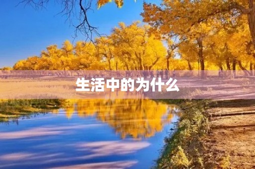 生活中的为什么
