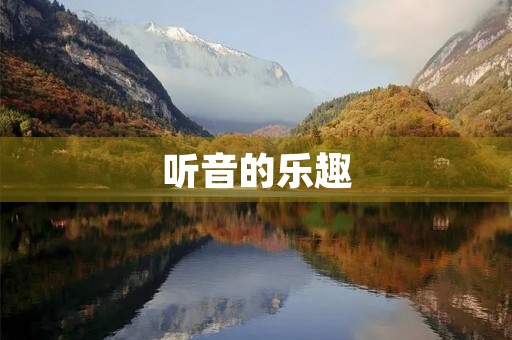 听音的乐趣