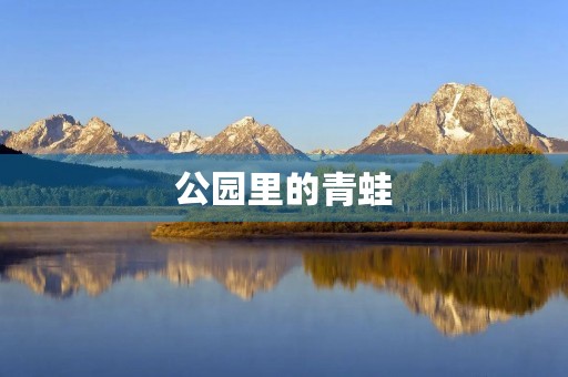 公园里的青蛙 公园里的青蛙