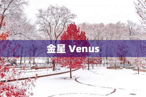 金星 Venus 金星 Venus