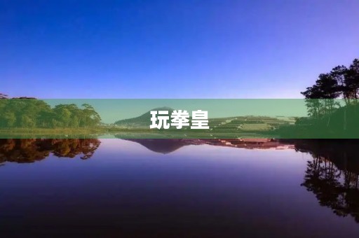 玩拳皇 玩拳皇
