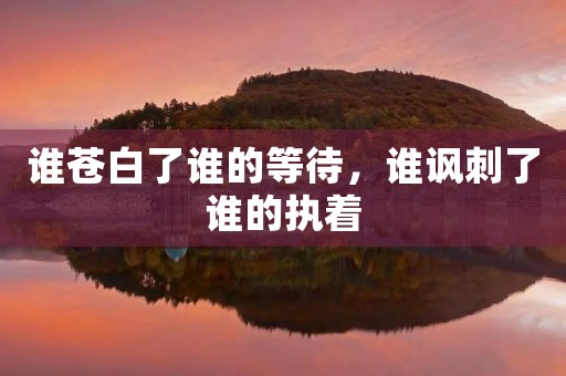 谁苍白了谁的等待,谁讽刺了谁的执着 谁苍白了谁的等待,谁讽刺了谁的执着